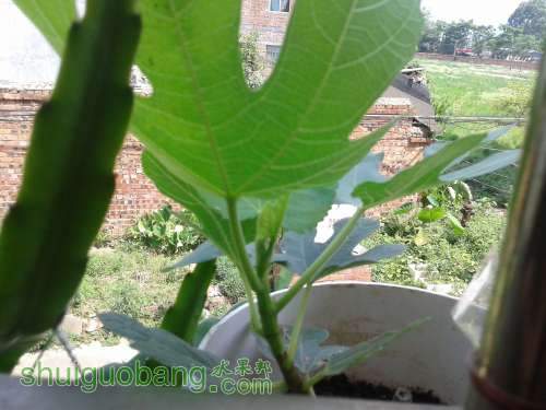 20140601_110016.jpg