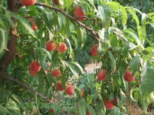 6��1�ռ��硢��졢��֬�ӡ������ 018.jpg