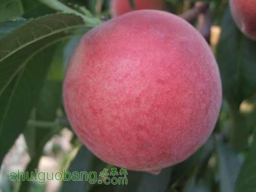 6��1�ռ��硢��졢��֬�ӡ������ 025.jpg