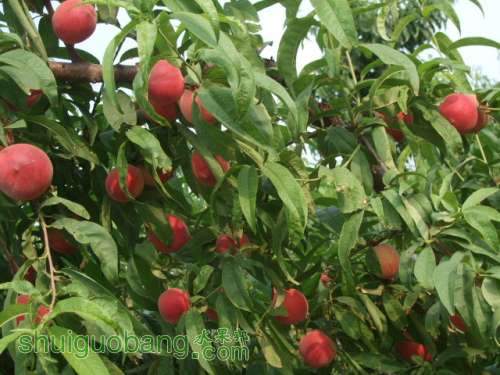 2014��6��3����Ե��� 001.jpg