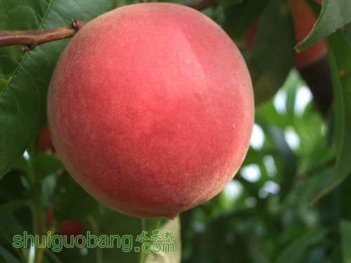 2014��6��3����Ե��� 004.jpg