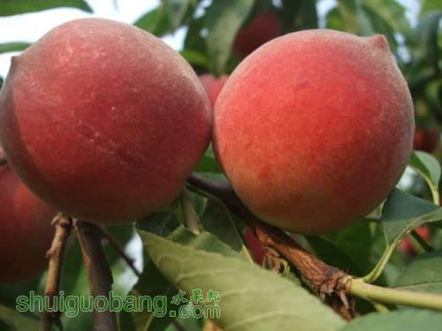 2014��6��3����Ե��� 005.jpg