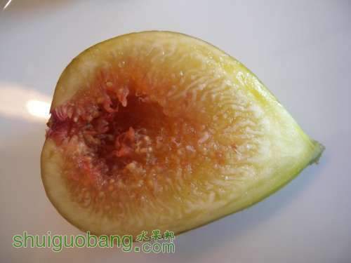 DSCN6566.jpg