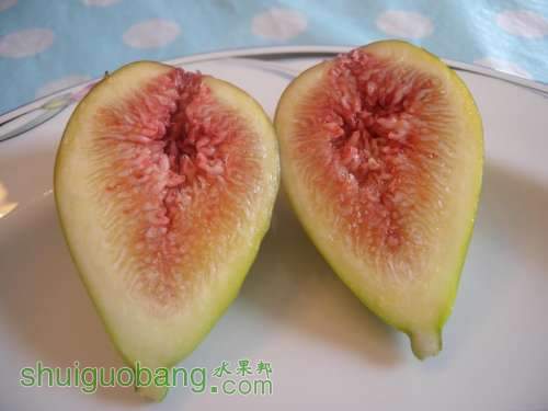 DSCN6557.jpg