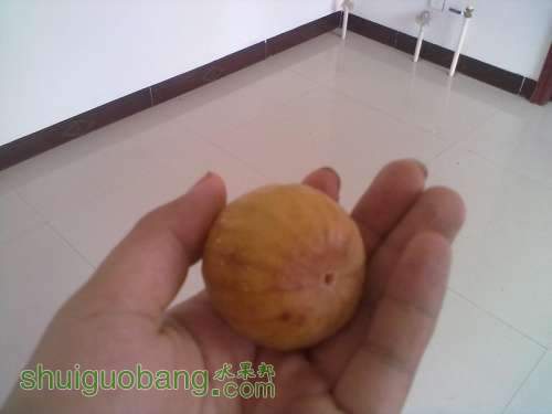 20130829086.jpg