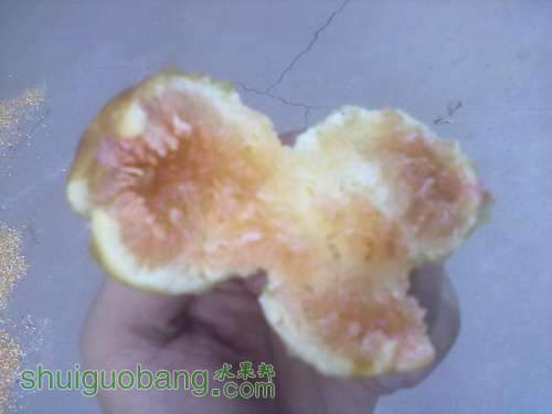 20130906094.jpg