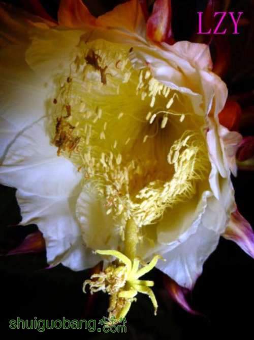 3.޽Ӻˮ09-03B.JPG