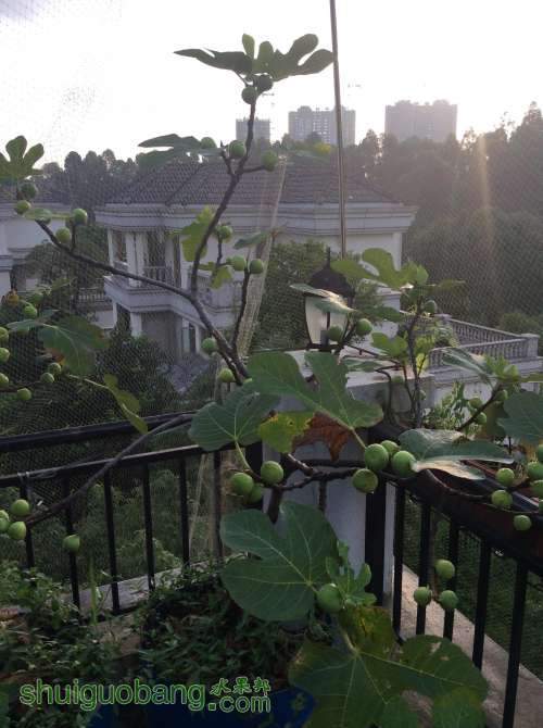 2014-06-06 063652.jpg
