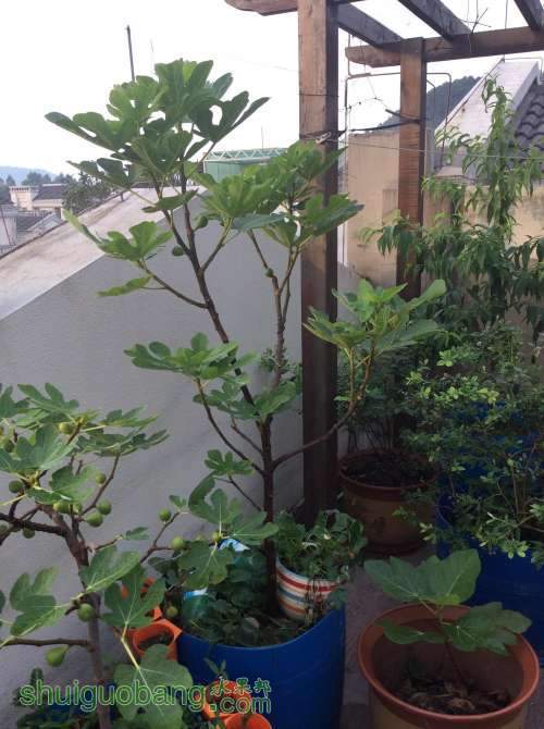 2014-06-06 063719.jpg