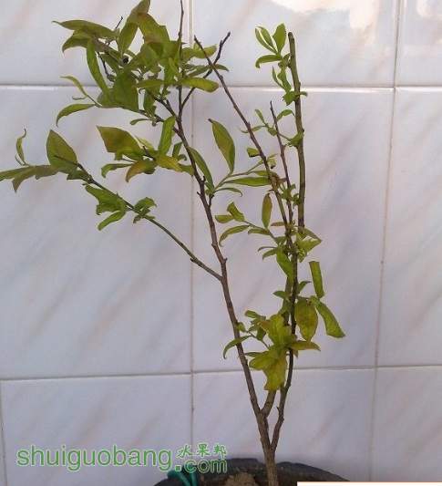 20140517105.jpg