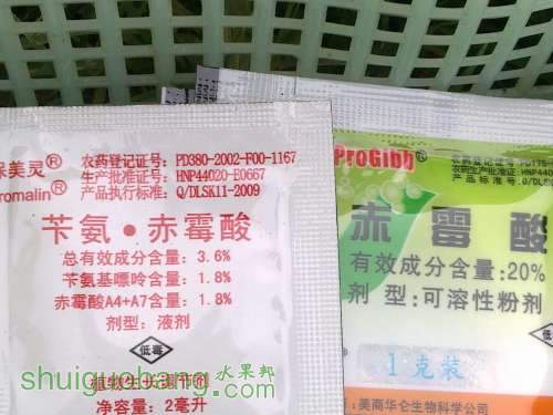 20140606101.jpg