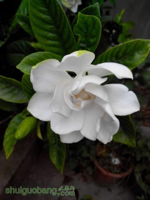 QQͼƬ20140606210317.jpg