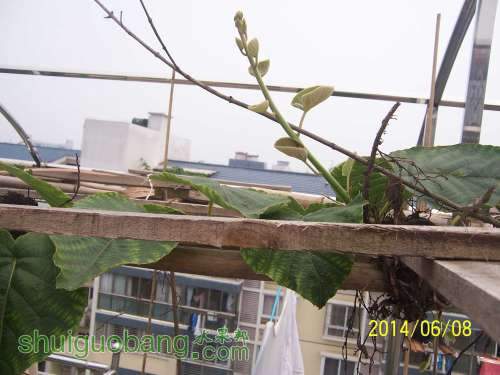 100_8712.JPG