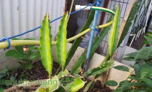 20140608_172648.jpg