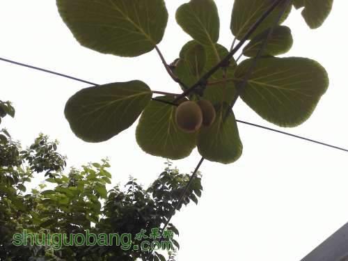 WP_002513.jpg