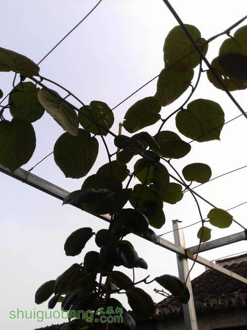 WP_002515.jpg