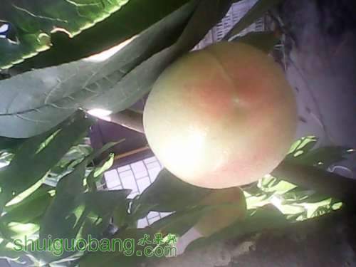 IMG_20140609_165034.jpg