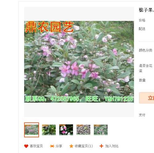 QQͼƬ20140610144356.jpg