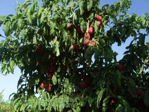 2014610֬ӡ 003.jpg