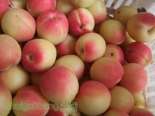 2014610֬ӡ 002.jpg
