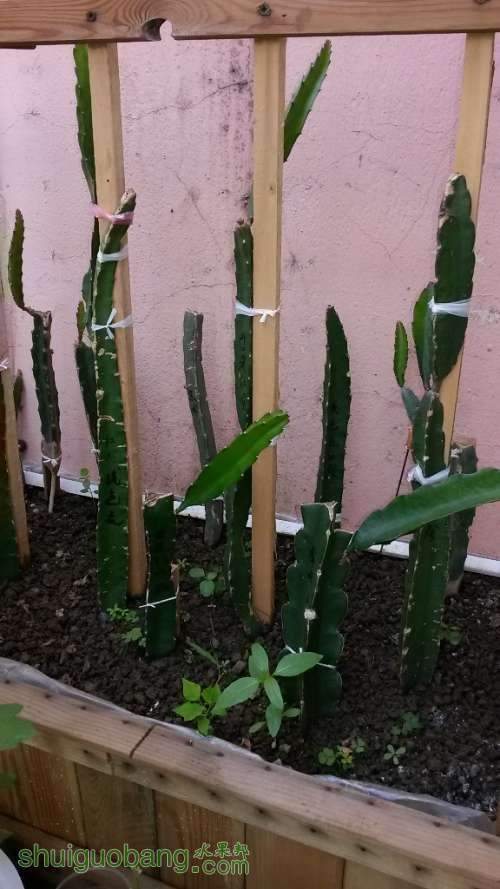 20140611_080429.jpg
