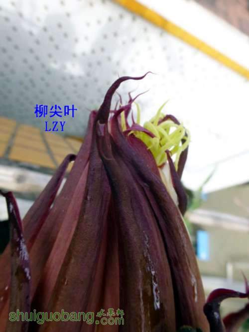 2014-ˮ¶05-2B.JPG