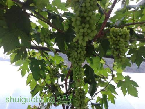 20140611_075258.jpg