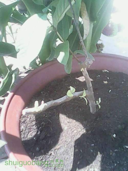 QQͼƬ20140612112622.jpg