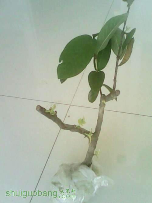 QQͼƬ20140612112629.jpg
