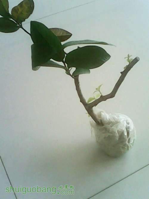 QQͼƬ20140612112633.jpg