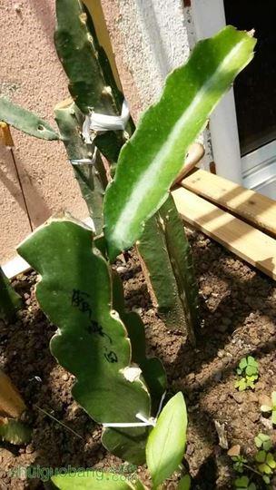 20140612_122726.jpg