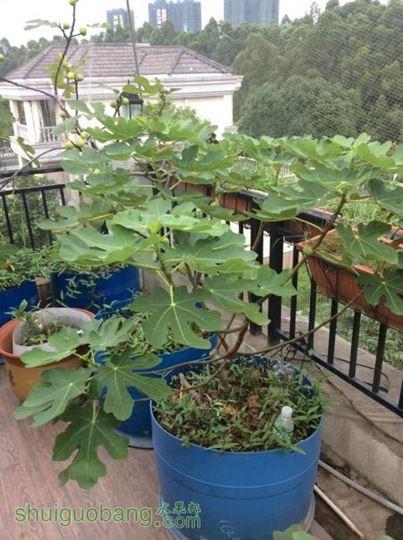 2014-06-10 182418.jpg