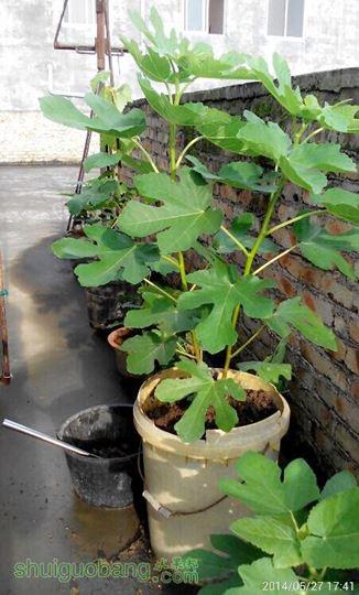 QQͼƬ20140527200317.jpg