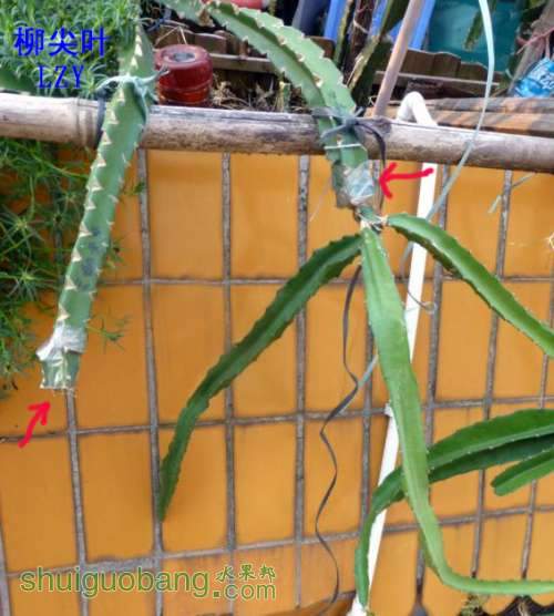 ޽Ӱˮ06-13.JPG