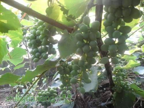 20140613_070549.jpg