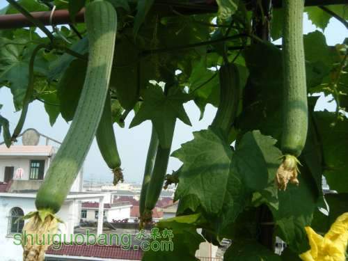 DSCF2698.JPG