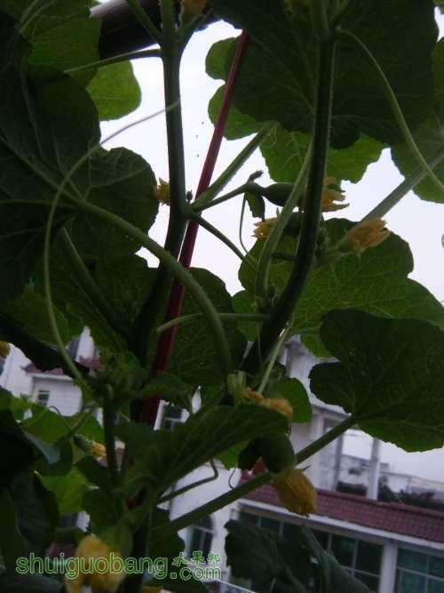 DSCF2722.JPG