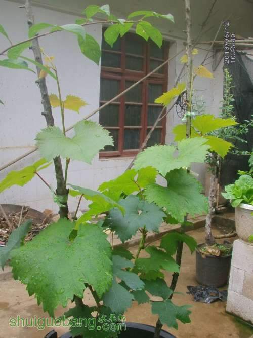IMAG0790_.jpg