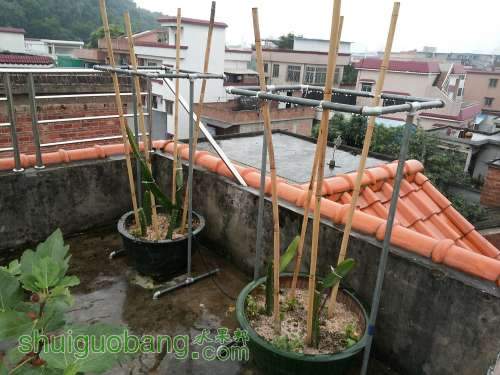 20140611_120145.jpg