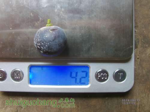 IMAG0232_.jpg