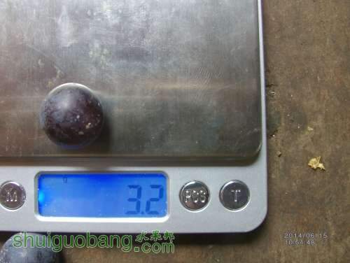 IMAG0233_.jpg