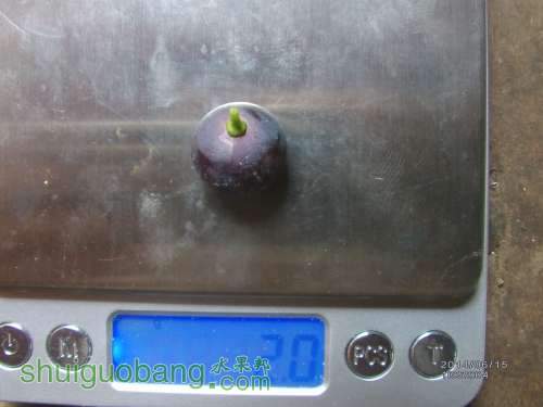 IMAG0234_.jpg