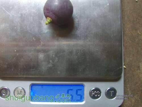 IMAG0236_.jpg