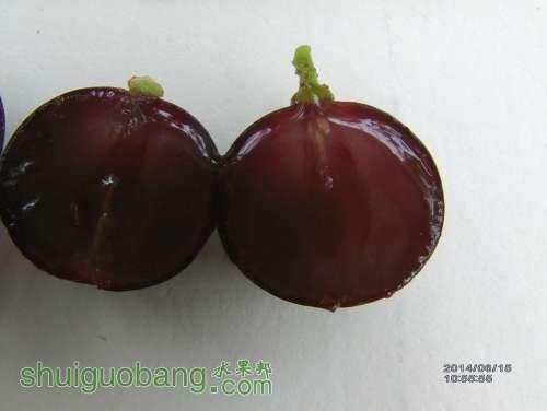 IMAG0240_.jpg