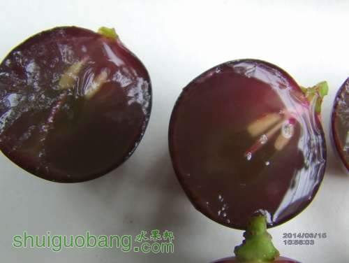 IMAG0241_.jpg