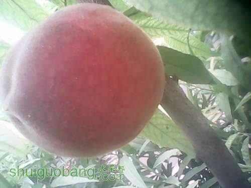 IMG_20140615_123010.jpg