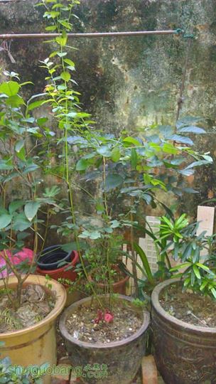 IMAG0197.jpg