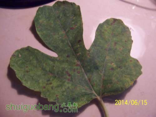 100_8755.JPG