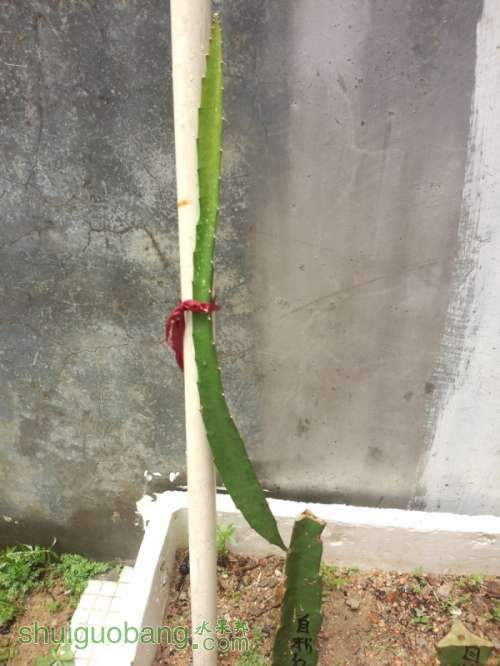 ͼƬ1.jpg