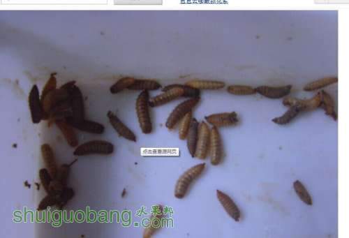 QQͼƬ20140615212429.jpg